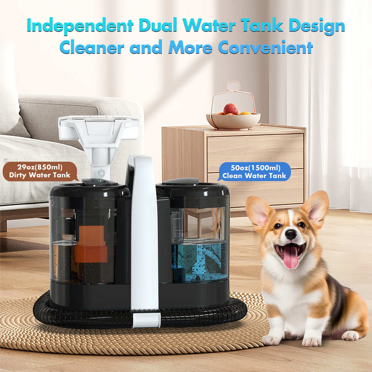 Independent dual water tanks