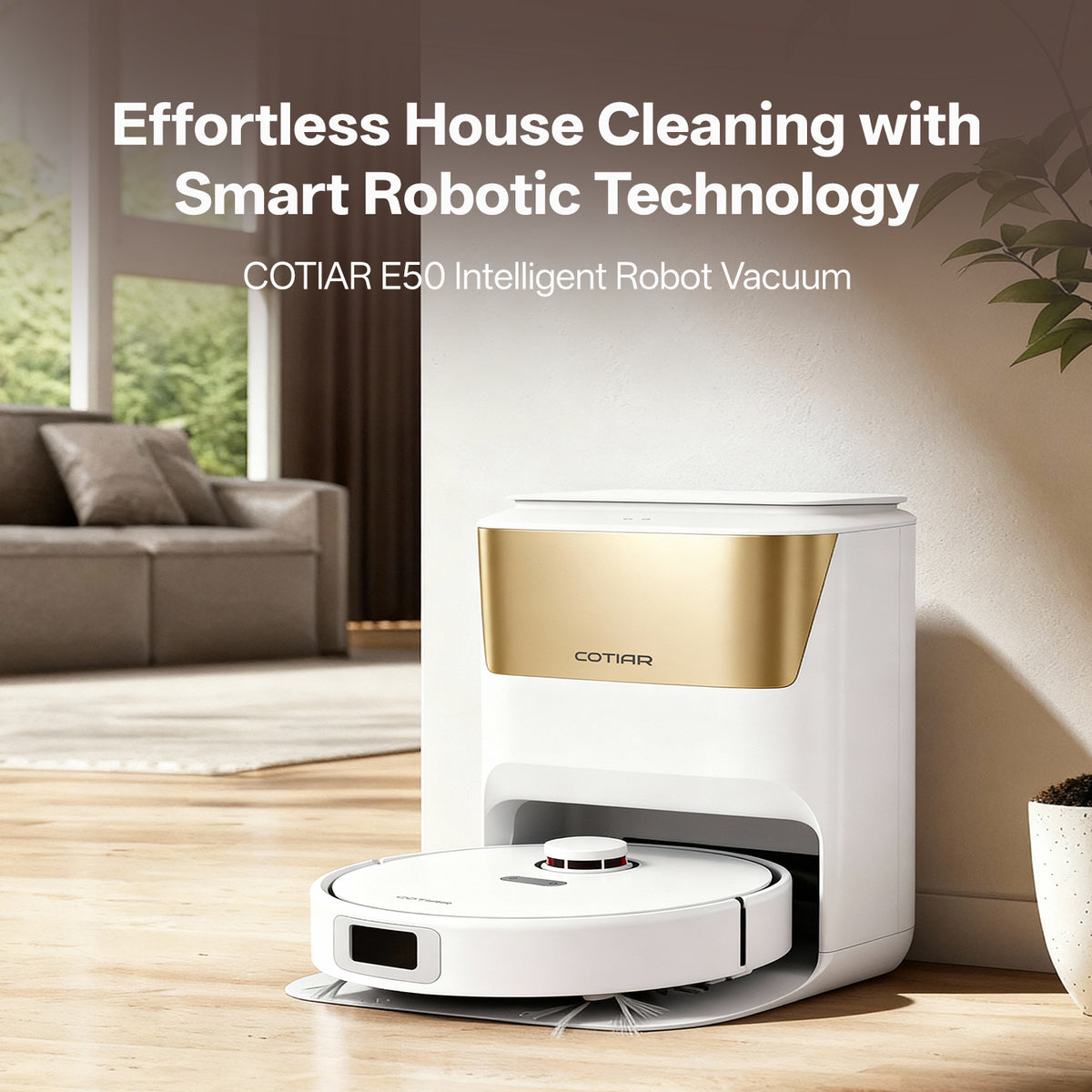 Sweep, vacuum and mop